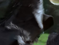 extant_XenaWarriorPrincess_2x01-OrphanOfWar_01193