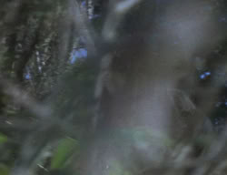 extant_XenaWarriorPrincess_2x01-OrphanOfWar_01203