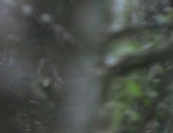extant_XenaWarriorPrincess_2x01-OrphanOfWar_01204