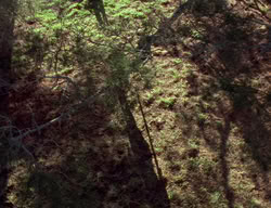 extant_XenaWarriorPrincess_2x01-OrphanOfWar_01277