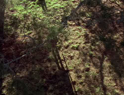 extant_XenaWarriorPrincess_2x01-OrphanOfWar_01278