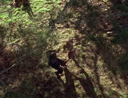 extant_XenaWarriorPrincess_2x01-OrphanOfWar_01343