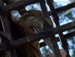 extant_XenaWarriorPrincess_2x01-OrphanOfWar_01801