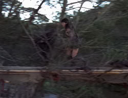 extant_XenaWarriorPrincess_2x01-OrphanOfWar_01838