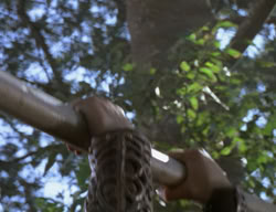 extant_XenaWarriorPrincess_2x01-OrphanOfWar_01851