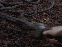 extant_XenaWarriorPrincess_2x01-OrphanOfWar_01881