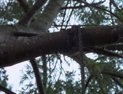extant_XenaWarriorPrincess_2x01-OrphanOfWar_01886