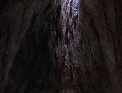 extant_XenaWarriorPrincess_2x01-OrphanOfWar_02439