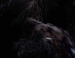 extant_XenaWarriorPrincess_2x01-OrphanOfWar_02488