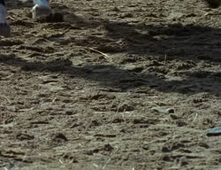 extant_XenaWarriorPrincess_2x01-OrphanOfWar_02696