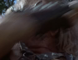 extant_XenaWarriorPrincess_2x01-OrphanOfWar_03277