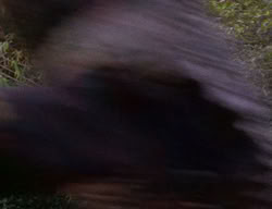 extant_XenaWarriorPrincess_2x02-RememberNothing_00174