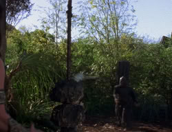 extant_XenaWarriorPrincess_2x02-RememberNothing_00177