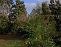 extant_XenaWarriorPrincess_2x02-RememberNothing_00482