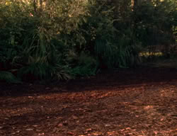 extant_XenaWarriorPrincess_2x02-RememberNothing_00492