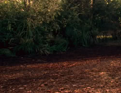 extant_XenaWarriorPrincess_2x02-RememberNothing_00493