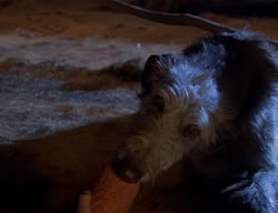 extant_XenaWarriorPrincess_2x02-RememberNothing_01751