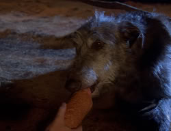 extant_XenaWarriorPrincess_2x02-RememberNothing_01755