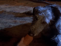 extant_XenaWarriorPrincess_2x02-RememberNothing_01756