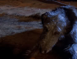 extant_XenaWarriorPrincess_2x02-RememberNothing_01757