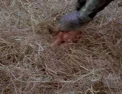 extant_XenaWarriorPrincess_2x02-RememberNothing_02149