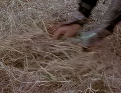 extant_XenaWarriorPrincess_2x02-RememberNothing_02150