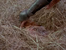extant_XenaWarriorPrincess_2x02-RememberNothing_02152