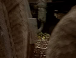 extant_XenaWarriorPrincess_2x02-RememberNothing_02169