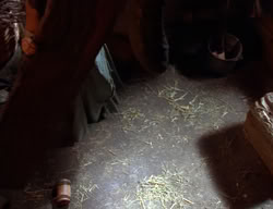 extant_XenaWarriorPrincess_2x02-RememberNothing_02452