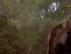 extant_XenaWarriorPrincess_2x02-RememberNothing_02938
