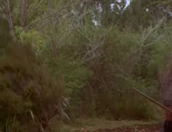 extant_XenaWarriorPrincess_2x02-RememberNothing_02939