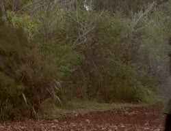 extant_XenaWarriorPrincess_2x02-RememberNothing_02940
