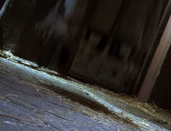 extant_XenaWarriorPrincess_2x02-RememberNothing_03115