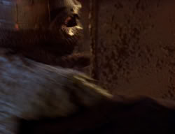 extant_XenaWarriorPrincess_2x02-RememberNothing_03121