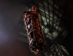 extant_XenaWarriorPrincess_2x02-RememberNothing_03142