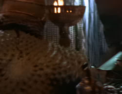 extant_XenaWarriorPrincess_2x02-RememberNothing_03242