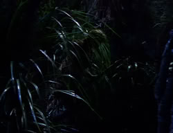 extant_XenaWarriorPrincess_2x03-TheGiantKiller_00250