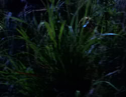 extant_XenaWarriorPrincess_2x03-TheGiantKiller_00253