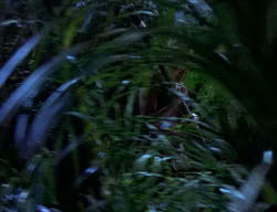 extant_XenaWarriorPrincess_2x03-TheGiantKiller_00255