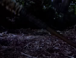 extant_XenaWarriorPrincess_2x03-TheGiantKiller_00309