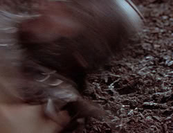 extant_XenaWarriorPrincess_2x03-TheGiantKiller_01159