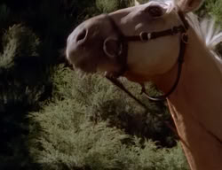 extant_XenaWarriorPrincess_2x03-TheGiantKiller_01312
