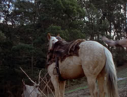 extant_XenaWarriorPrincess_2x03-TheGiantKiller_01371