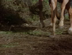 extant_XenaWarriorPrincess_2x03-TheGiantKiller_01426
