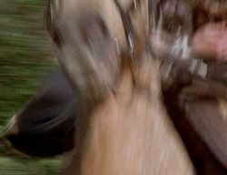 extant_XenaWarriorPrincess_2x03-TheGiantKiller_01429