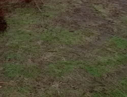 extant_XenaWarriorPrincess_2x03-TheGiantKiller_02258