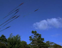 extant_XenaWarriorPrincess_2x03-TheGiantKiller_02285
