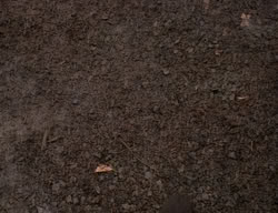 extant_XenaWarriorPrincess_2x03-TheGiantKiller_02340