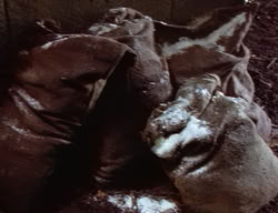 extant_XenaWarriorPrincess_2x03-TheGiantKiller_02467