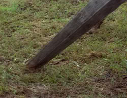 extant_XenaWarriorPrincess_2x03-TheGiantKiller_03254